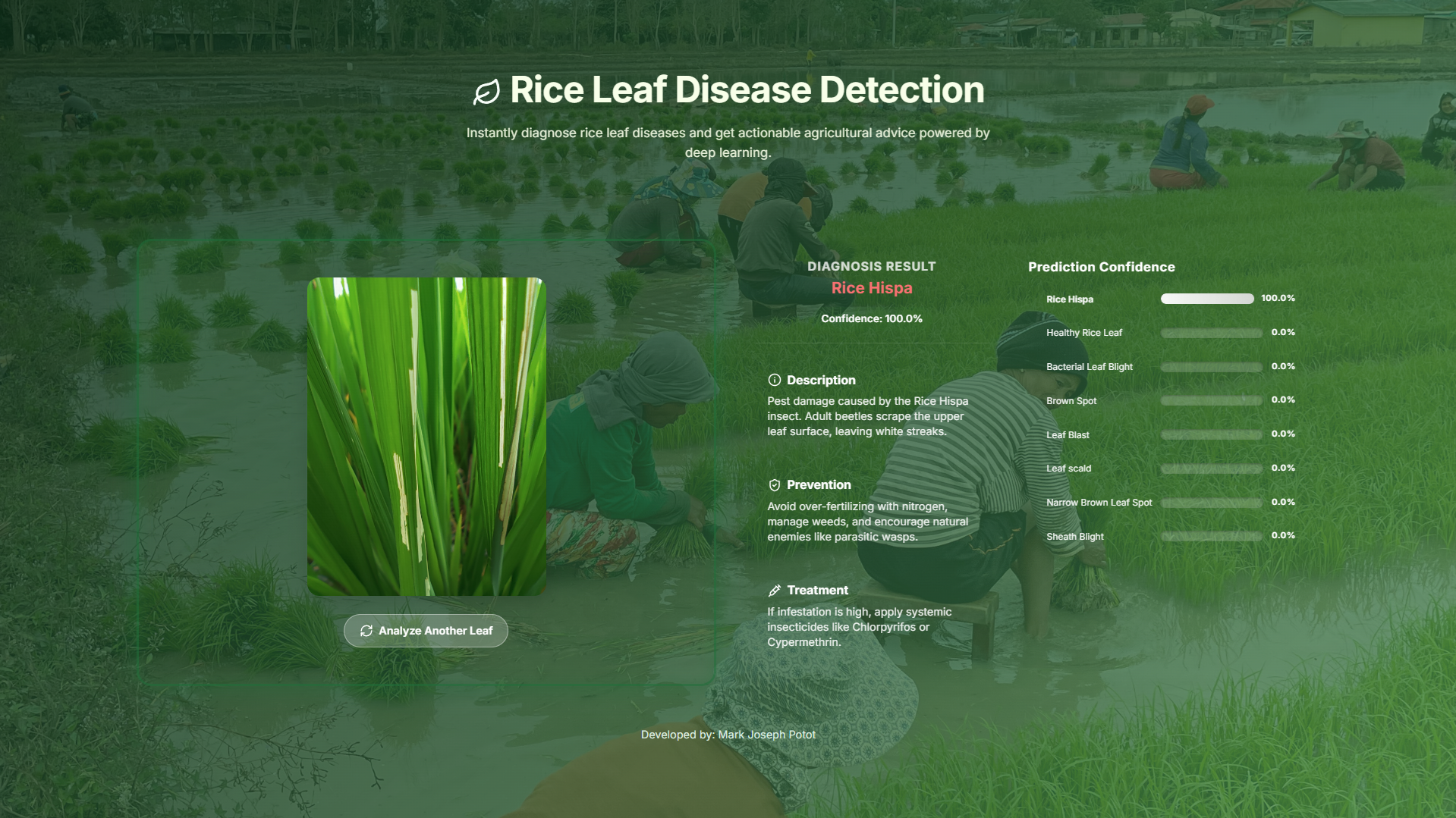 Rice Leaf Disease Detection