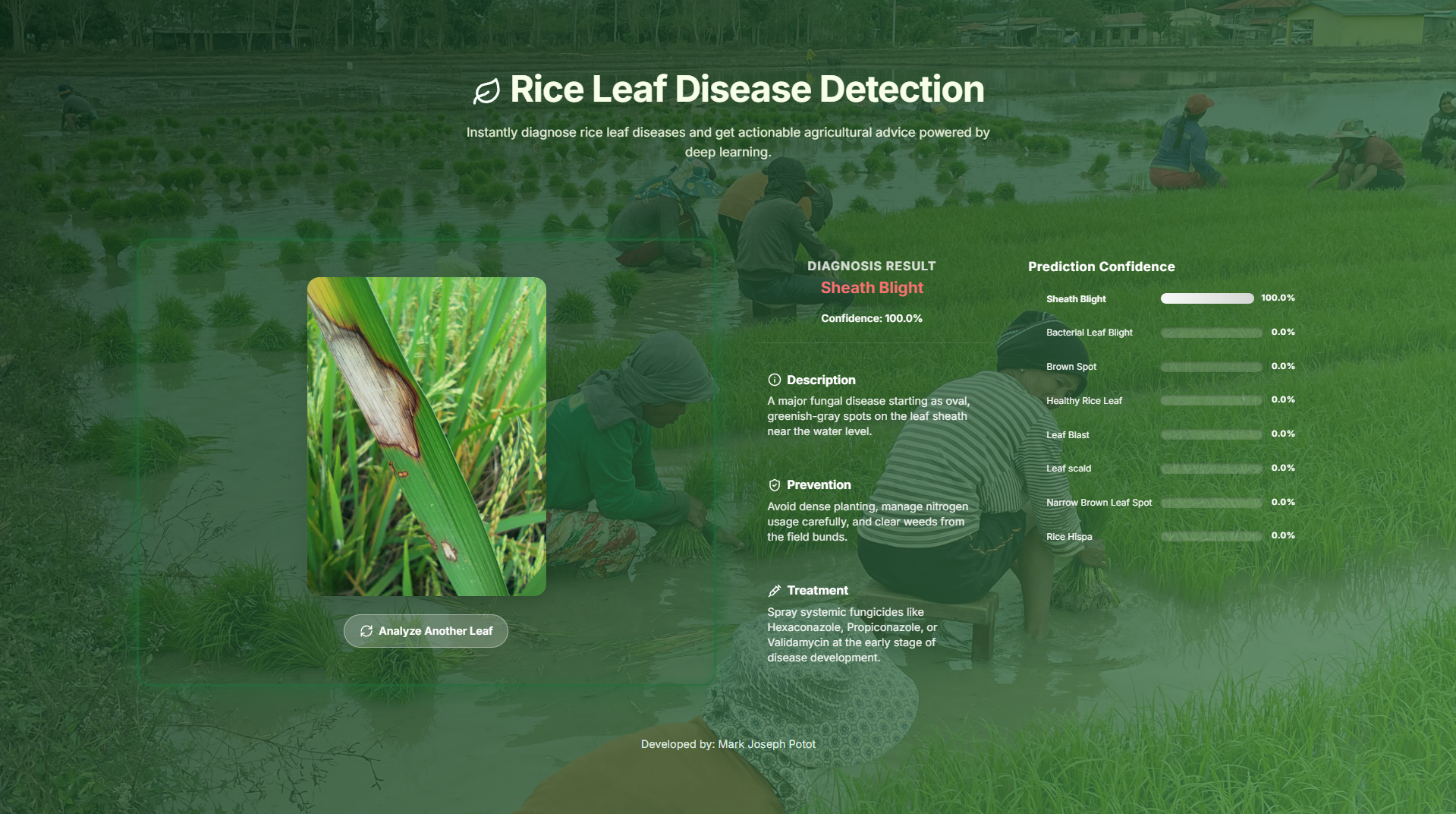Rice Leaf Disease Detection
