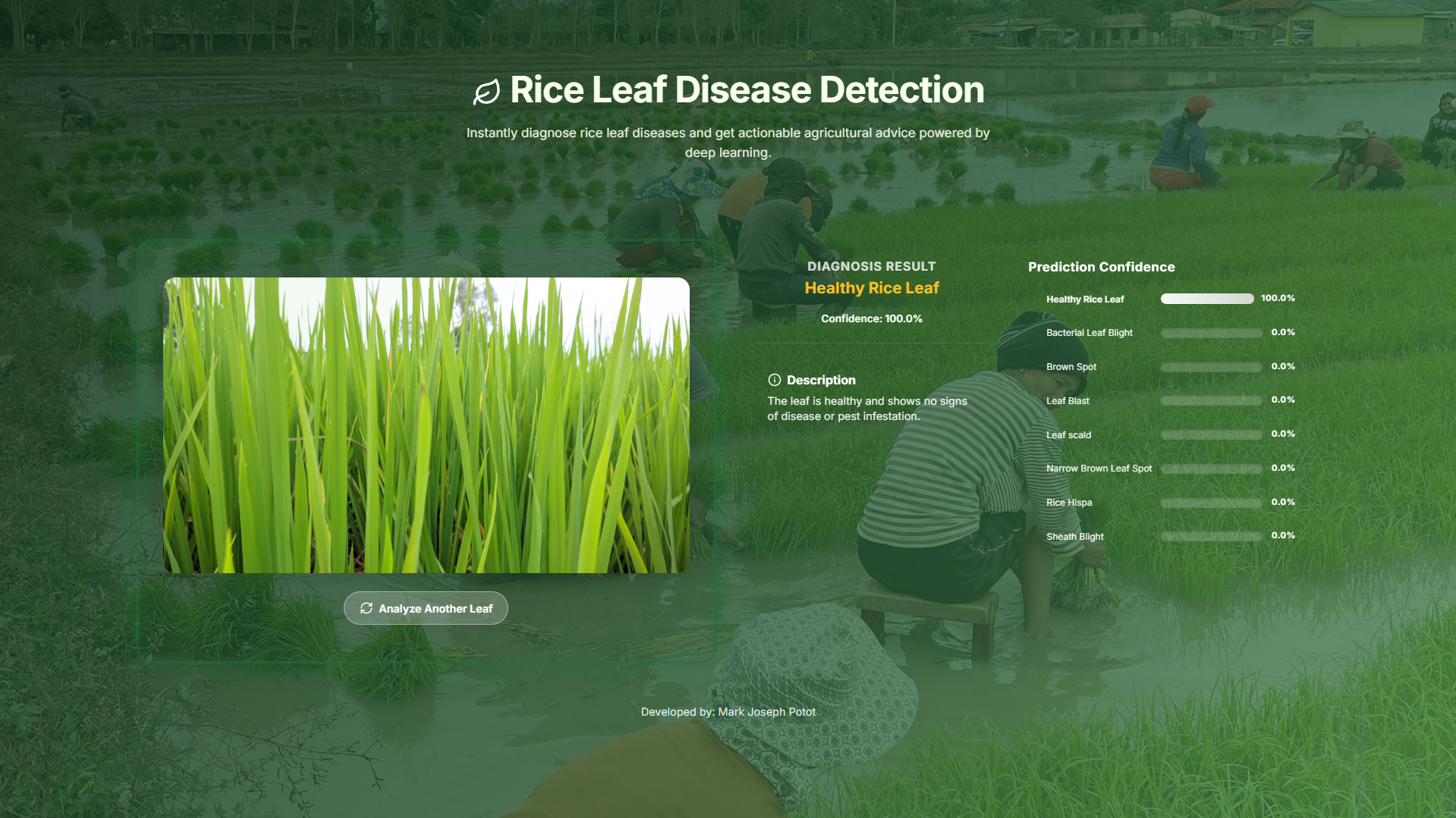 Rice Leaf Disease Detection